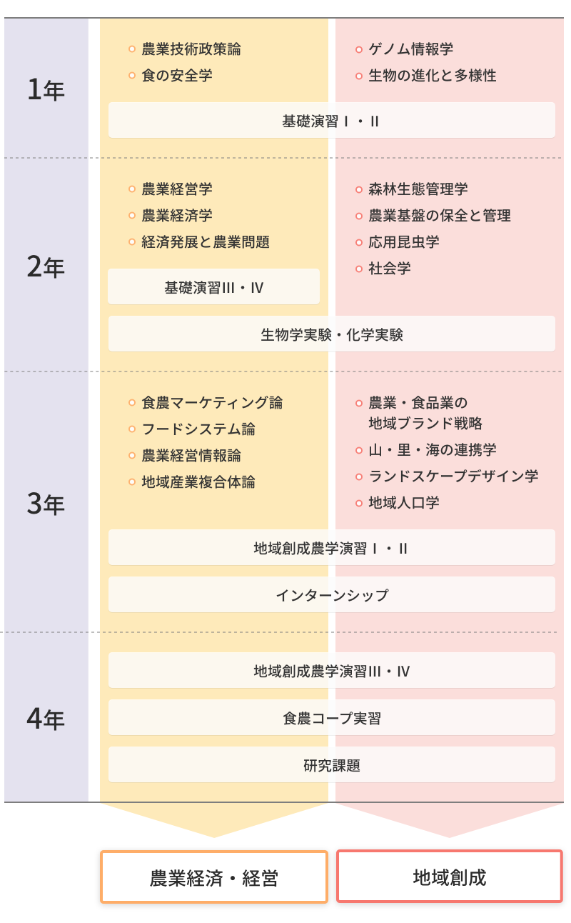 カリキュラム