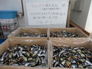 resize0229