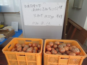 resize0232