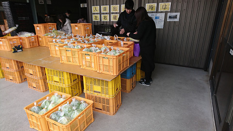 resize0441