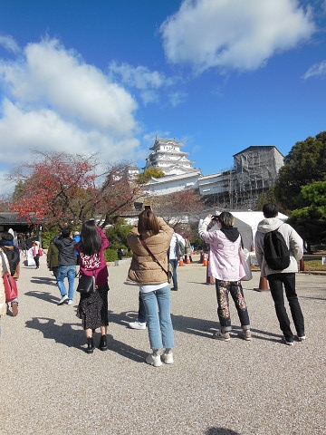 resize0891