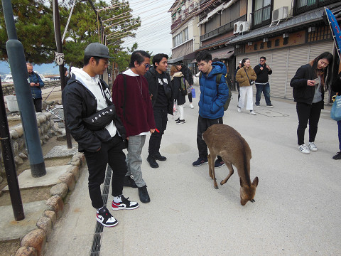 resize0936