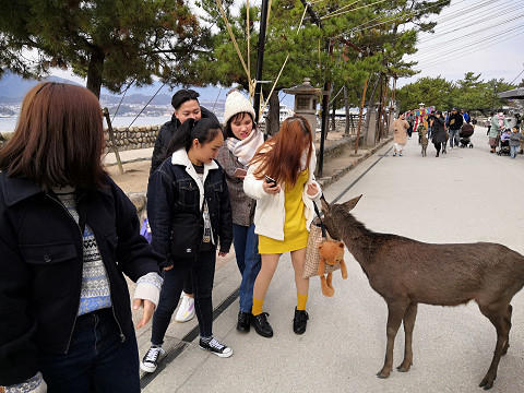 resize0941