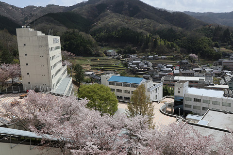 resize0023